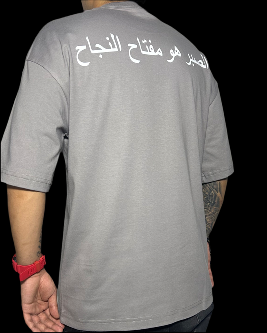 CAMISETA OVERSIZE BÁSICA CON MENSAJE EGIPCIO GRIS. Estampado blanco